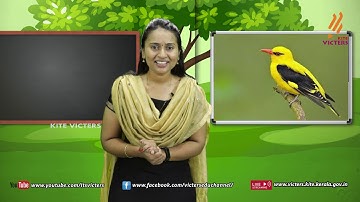 KITE VICTERS STD 04 Environmental Studies Class 23 (First Bell-ഫസ്റ്റ് ബെല്‍)