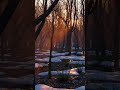 Nature On Light · Stillness