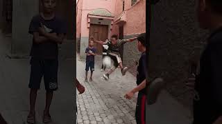 Moroccan Kids Show Insane Football Skills