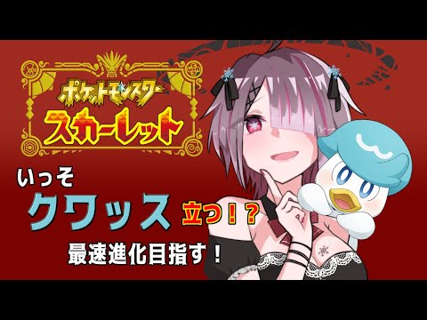 【 ポケモン スカーレット 】 クワッス 最速進化？！ 最初に立つのはきっとコイツ！！ 初見さん、コメント大歓迎！【  Vtuber せっつぇる Pokemon 】