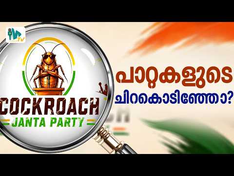 പാറ്റകളുടെ ചിറകൊടിഞ്ഞോ?