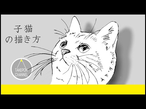 動物の描き方 子猫のリアルなイラストが誰でも簡単に上手くなる方法 Howtodrawcat Youtube