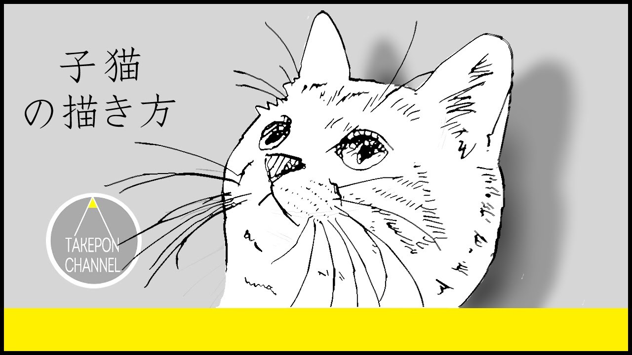 動物の描き方 子猫のリアルなイラストが誰でも簡単に上手くなる方法 Howtodrawcat Youtube