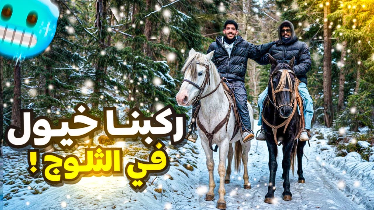 ٣#سفرة الحلم.. ركبنا خيول وسط غابة ثلجيه🐎❄️