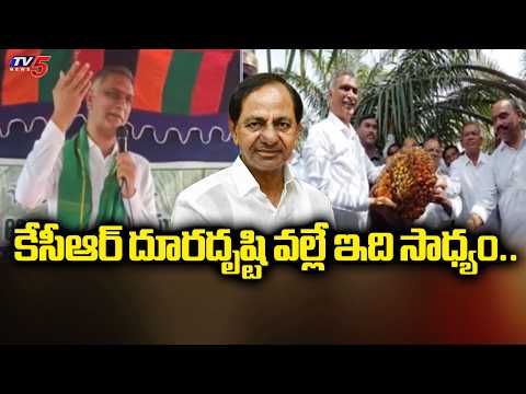 కేసీఆర్ దూరదృష్టి వల్లే ఇది సాధ్యం..Ex Minister Harish Rao Inspects Oil Farms In Siddipet | TV5 News - TV5NEWS