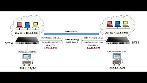 How to configure OSPF Routing Protocol in DLink DGS series Switch