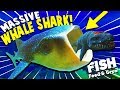 GIANT WHALE SHARK EATS MOSASAURUS WHOLE?! | Feed And Grow Fish Update Gameplay