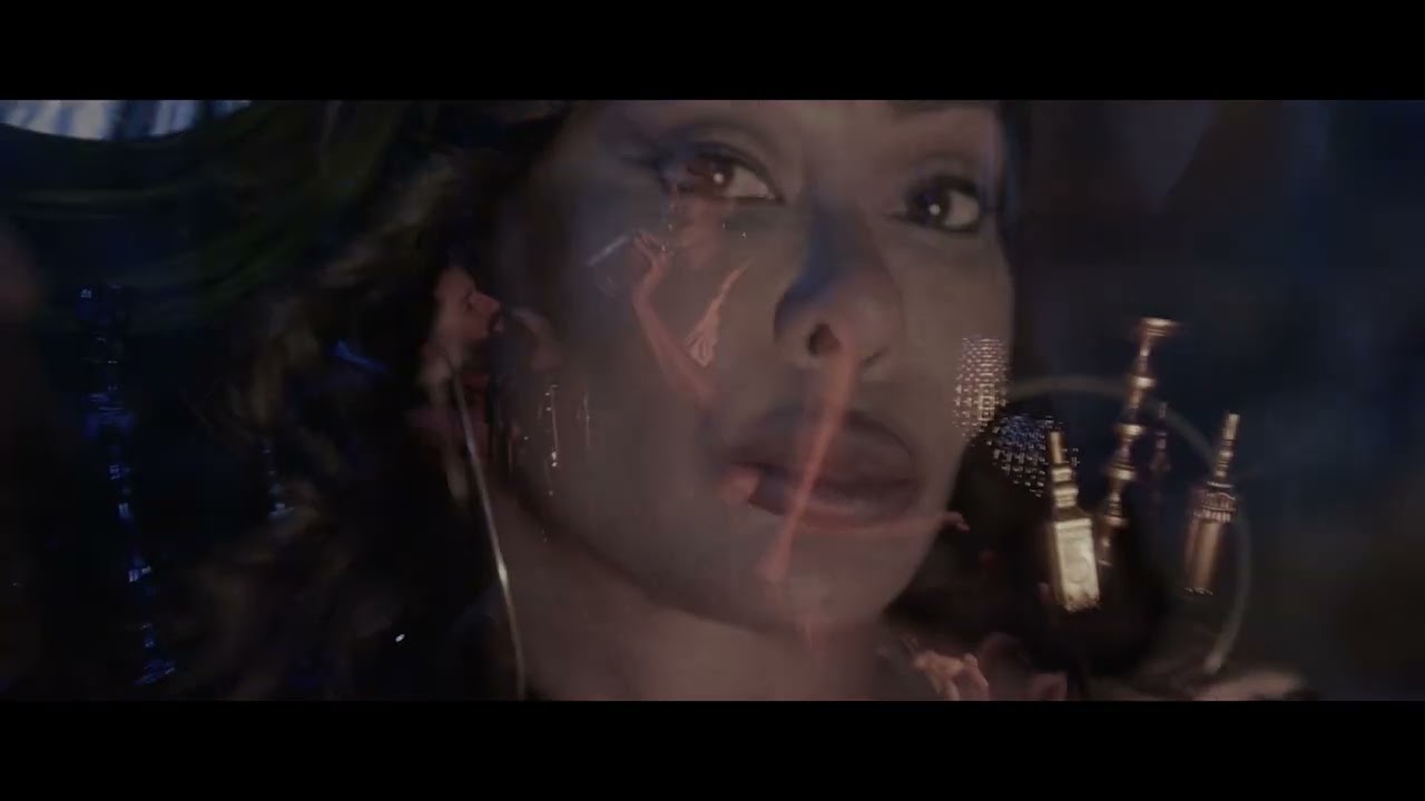 THROWBACK | Black Fox - Sheba88 (Official Music Video)