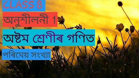 Class8 |  Math | Exercise 1.1 |In Assamese|Rational Numbers #asssamesemedium @Kripal_Das