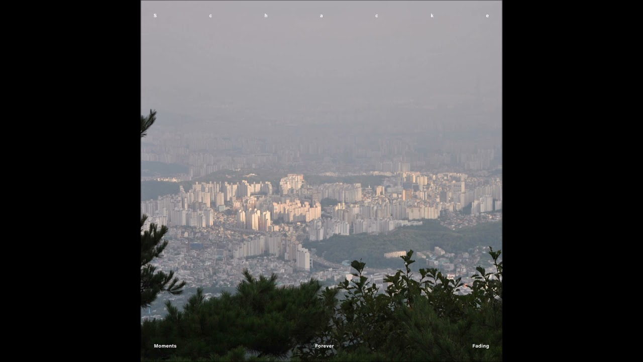 Schacke - Senses Purified (Seoul Skyline) [PI-255]