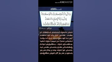سورة هود آية 88