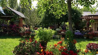: Harvest with me :  paradise found with best veiws in my grarden