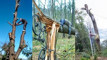 Funniest Tree Cutting Fails 6