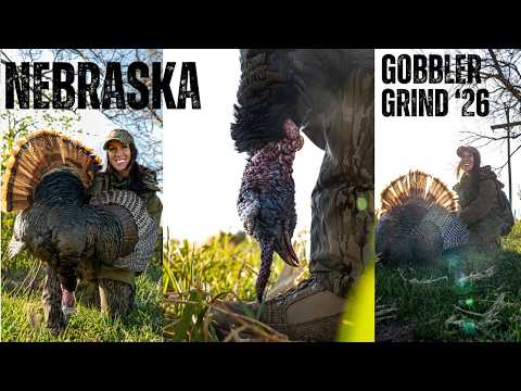 GIANT MIDWEST STRUTTERS | NEBRASKA TURKEY HUNTING PART 1 | PURSUING THE SINGLE SEASON GRAND SLAM