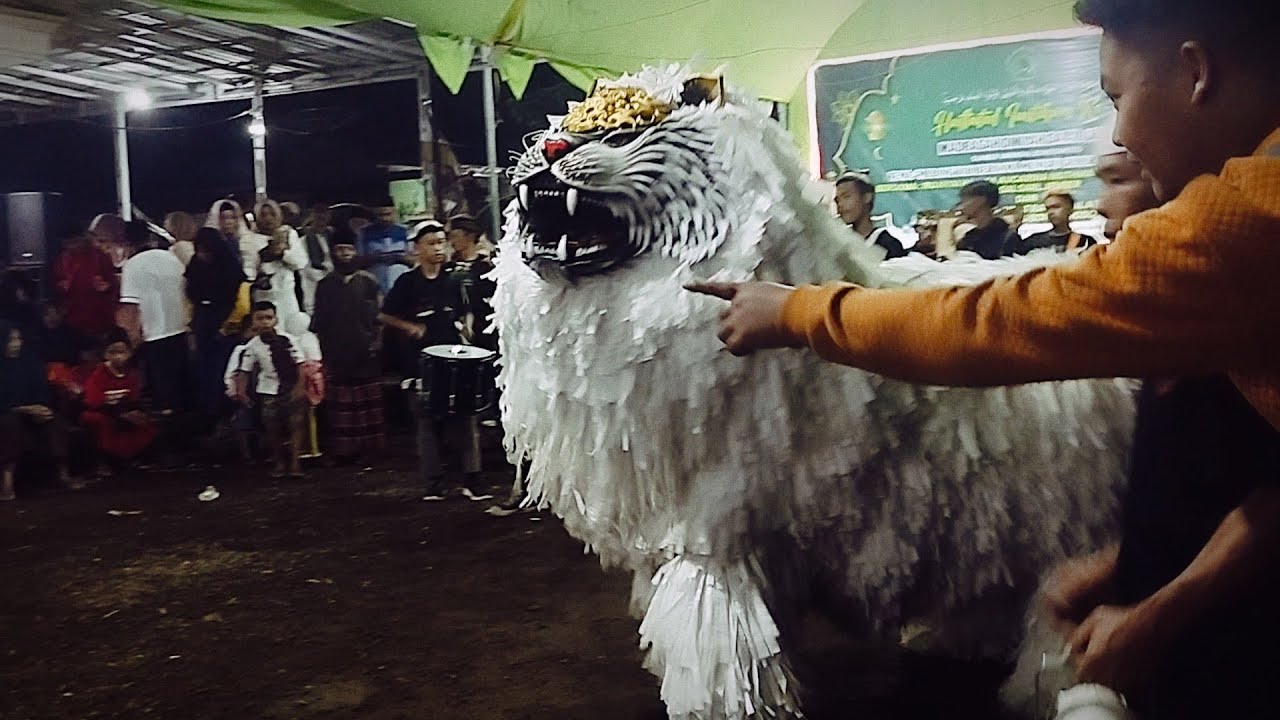 VIRAL|| ATRAKSI CAN MACANAN SINGO RAUNG KAROMAH @cakRahman