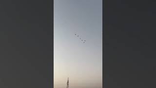 🪶🌾🌙 | #trending #viral #ytshorts #nature #fyp | Journey with ivap✨