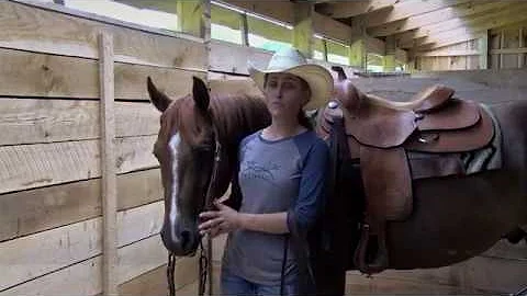 Stacy Westfall - What's the Difference? Browband V...