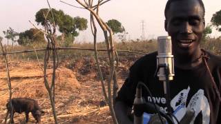 Malawi Mouse Boys