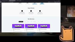 What twitch bot websites actually look like
