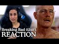 Breaking Bad REACTION 2x3 Bit by a Dead Bee | Just a Regular Day at the Supermarket