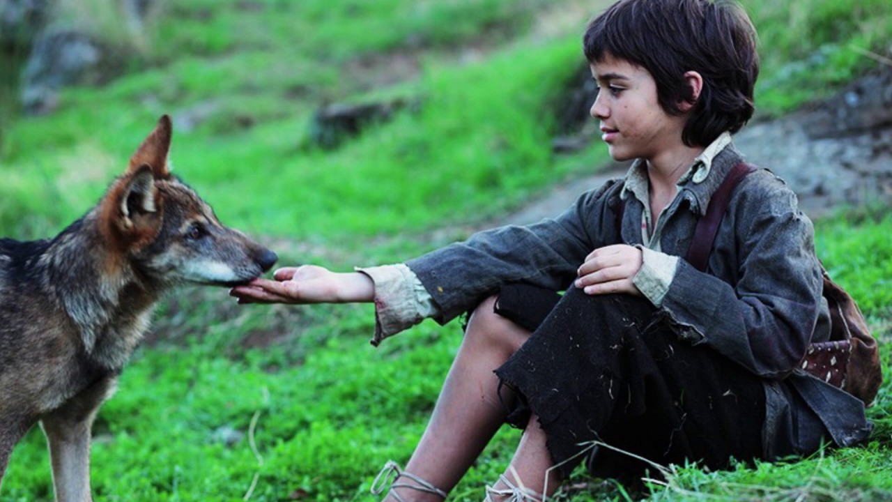 Человек волк маугли. Мальчик воспитанный волками Геншин.