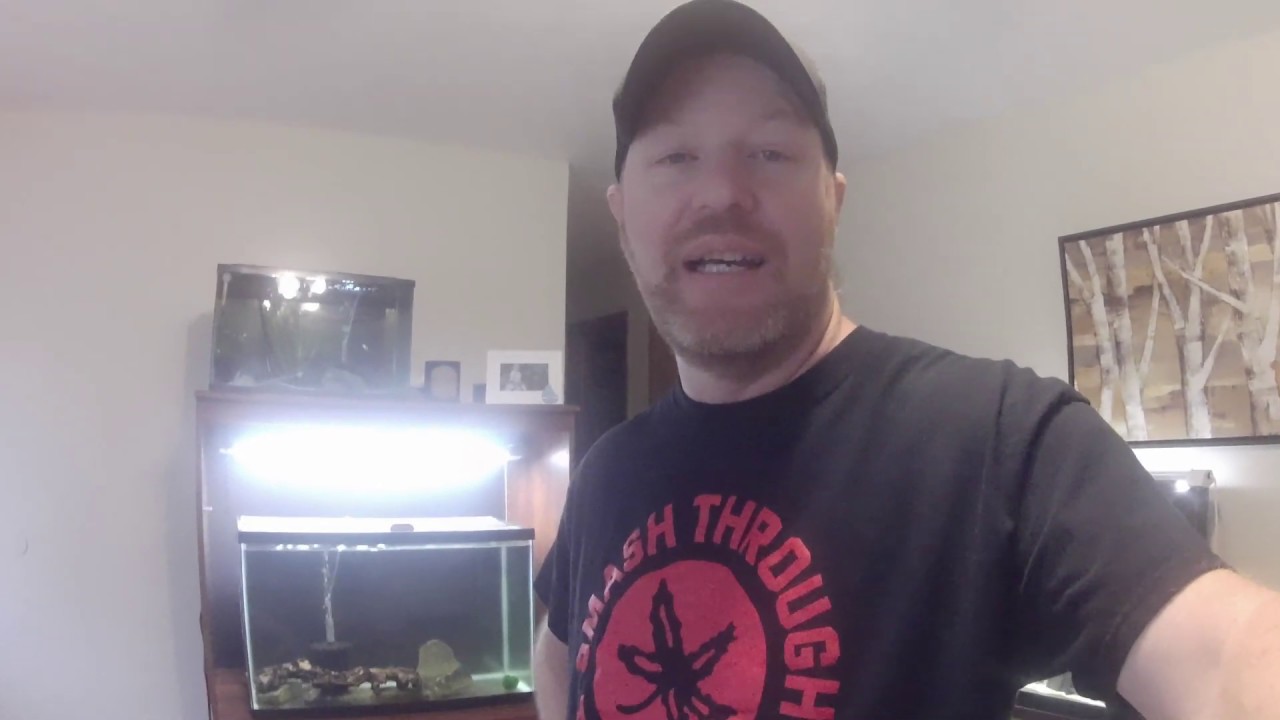 Python Water Changer!! - YouTube