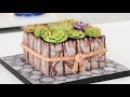 How to make a Succulents Cake and Crackled Fondant - Tan Dulce