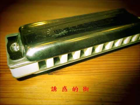 林憶蓮 / 李宗盛 誘惑的街 口琴  KEY : D B D# E