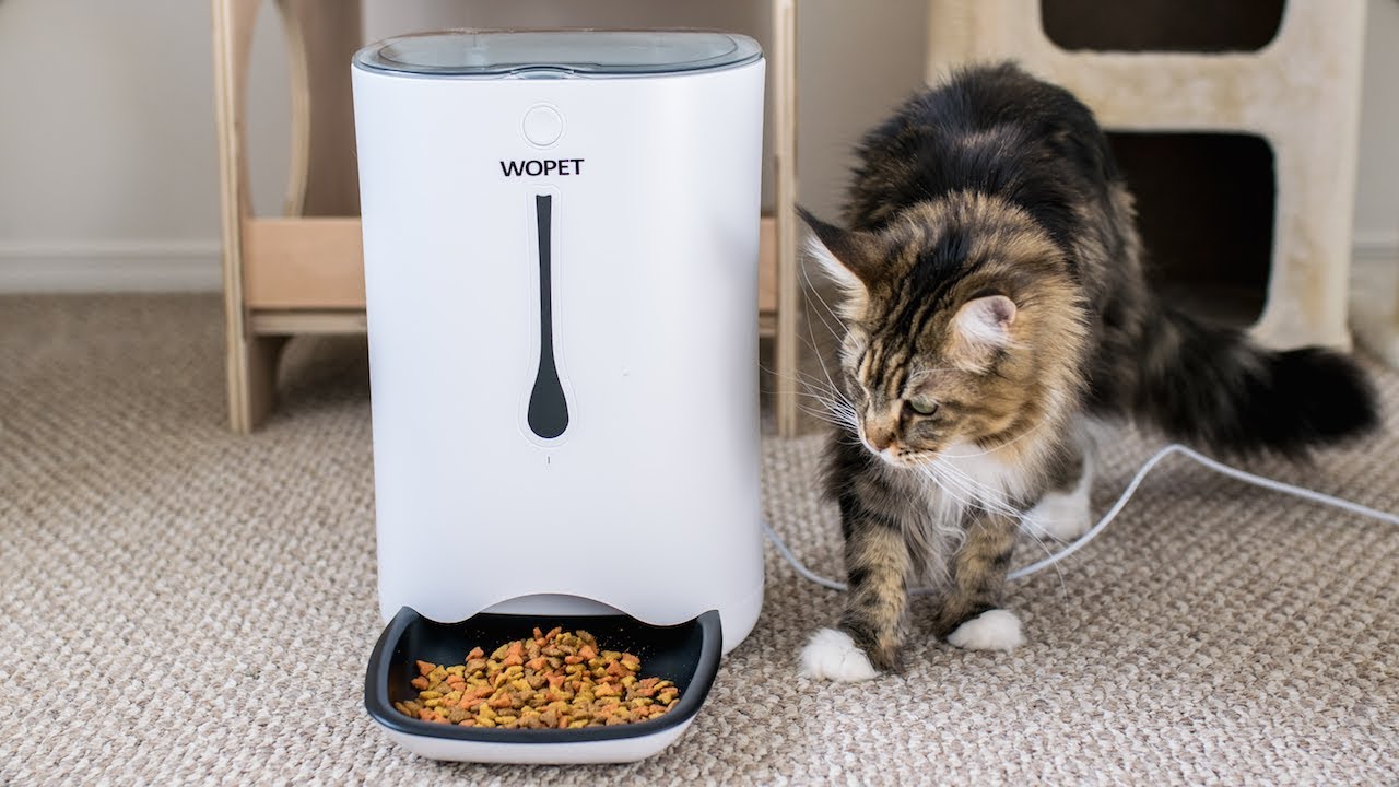 WOPET Automatic Pet Feeder Setup and Review - YouTube