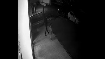 1 01 R 29032023013500 h264 converted