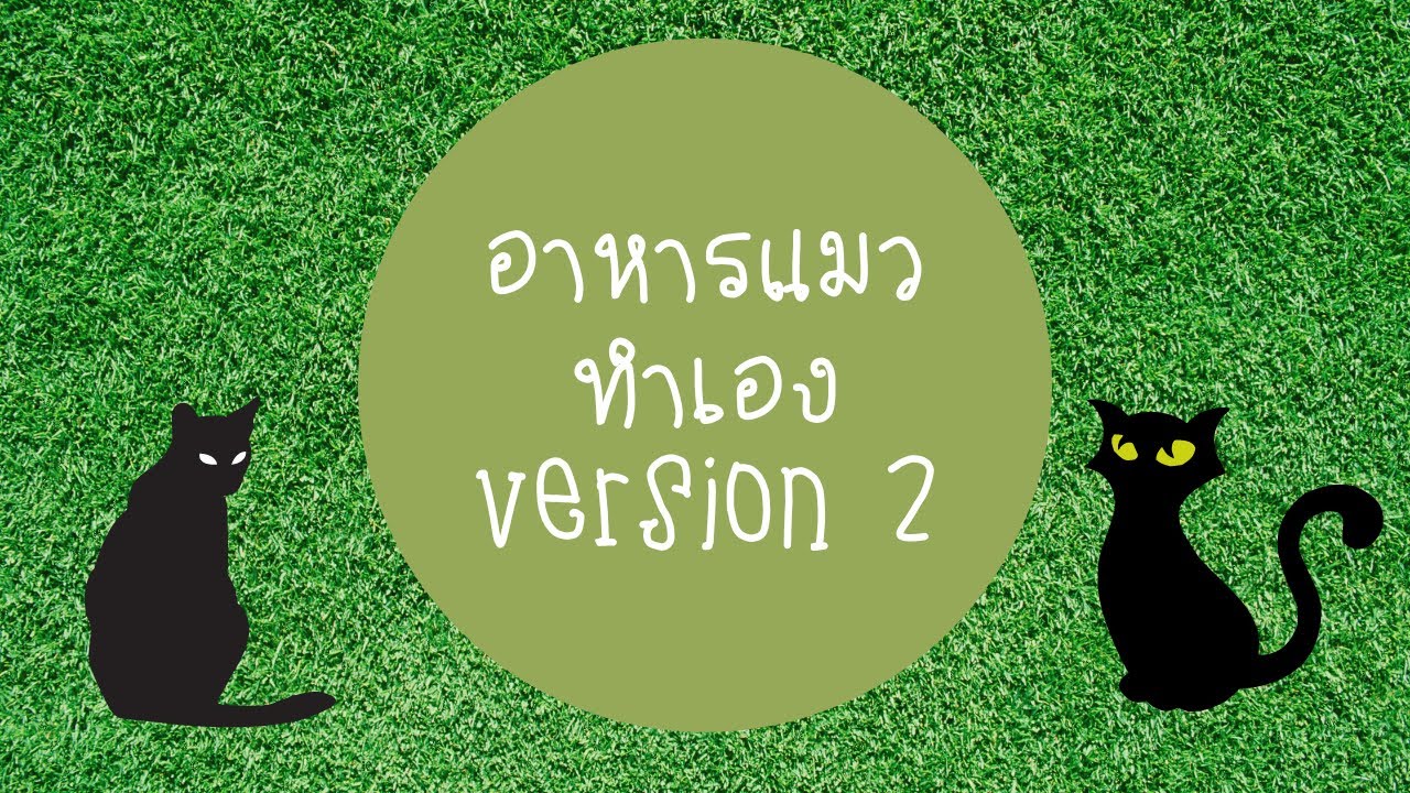 อาหารแมวทำเองได้ง่ายจัง version 2 | ป้ามาแชร์