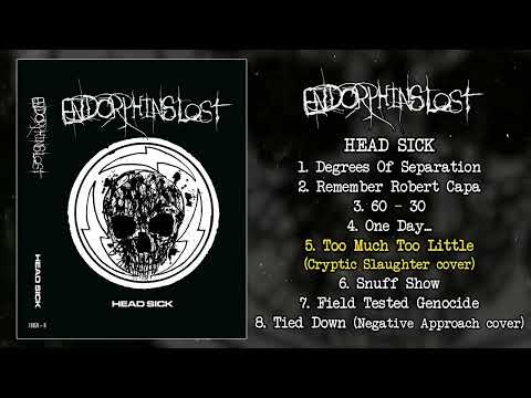 Head Sick artwork
