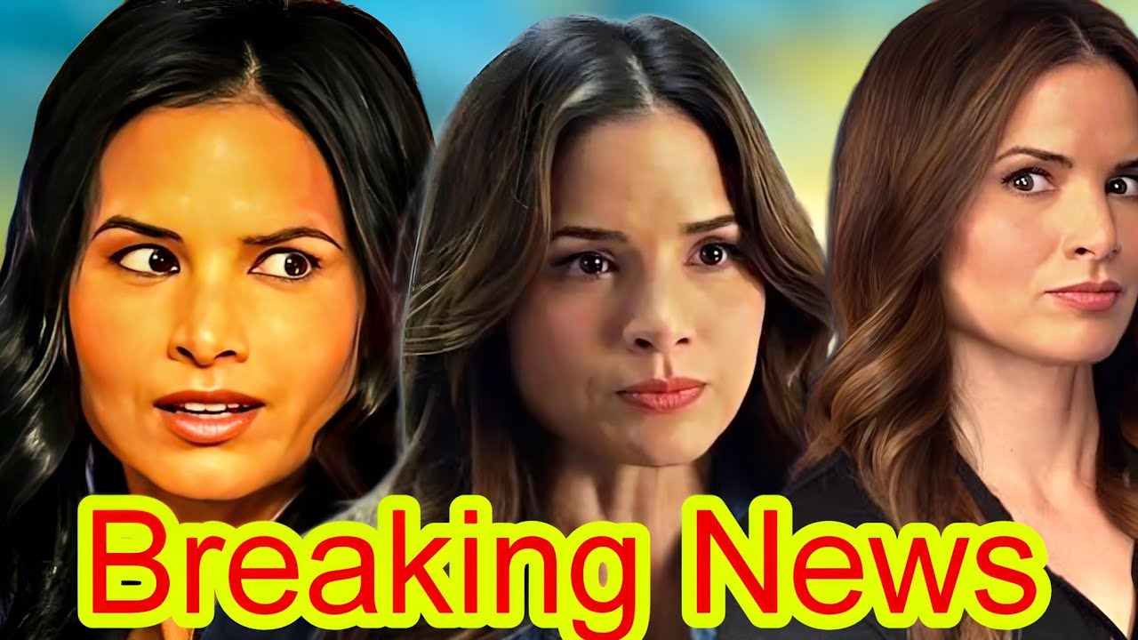Why Jessica Knight's NCIS Comeback Could Ruin Everything! The Shocking
