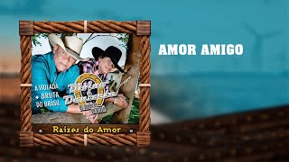 Divino & Donizete - Amor Amigo