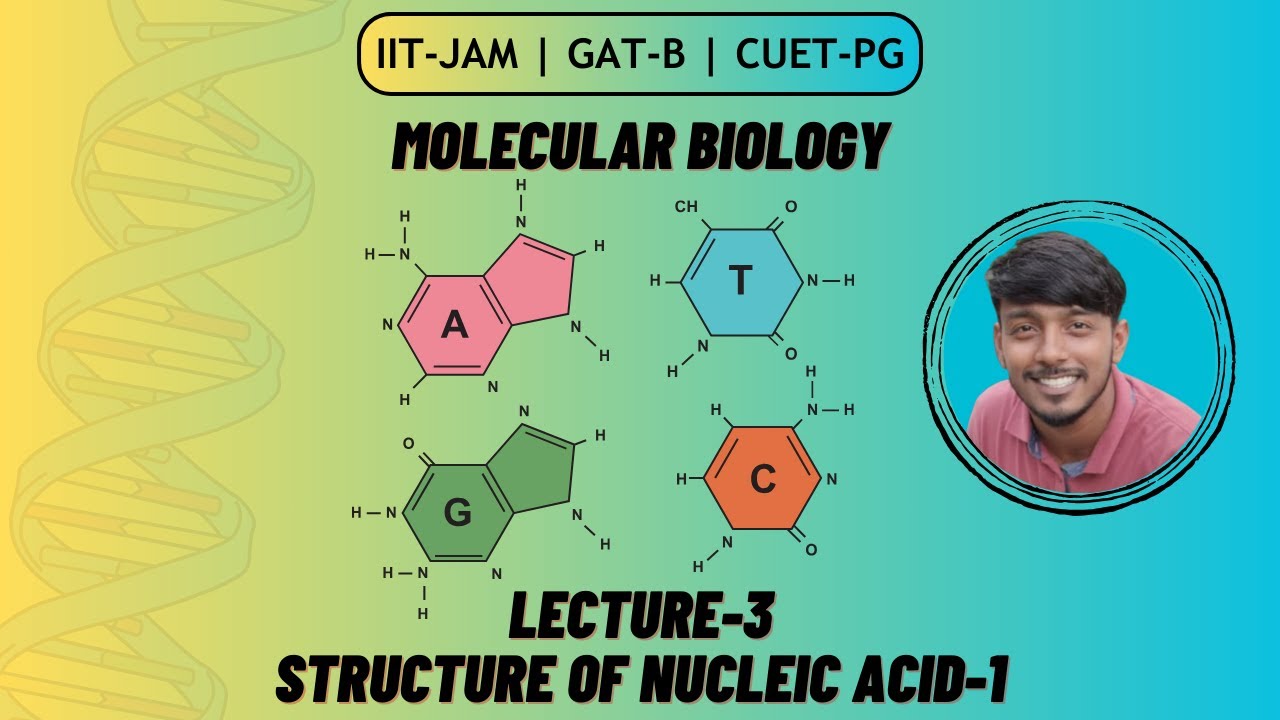 Molecular Biology Structure of Nucleic Acid1 Lecture 3
