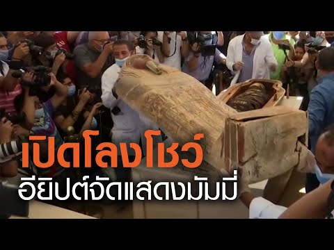 วีดีโอ: ฟอสซิลหอยเม่นพิสูจน์ความเก่าแก่ของสฟิงซ์และปิรามิด