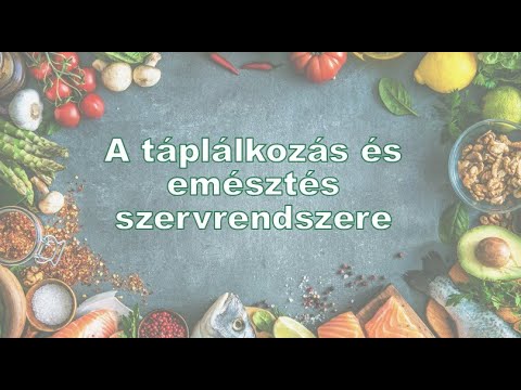 Videó: Különbség Az Anyagcsere és Az Emésztés Között