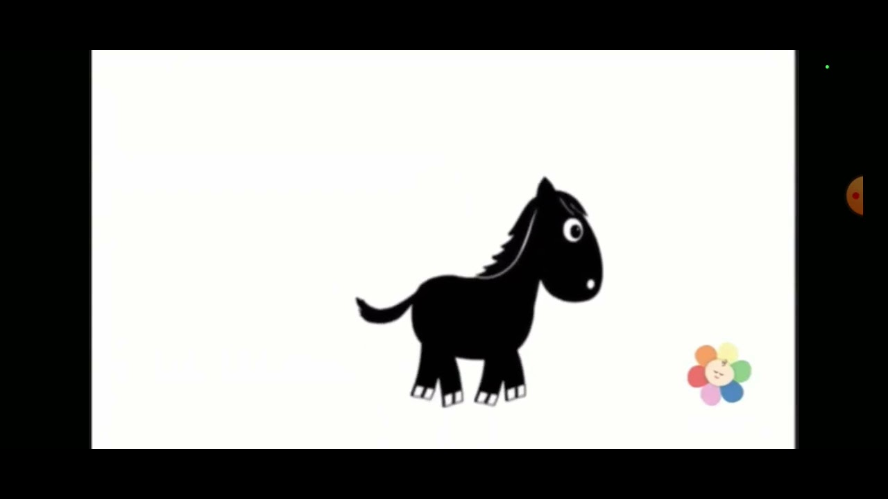 babyfirst black and white horse 1 YouTube