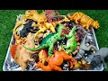 ASMR  8:58 Minutes Satisfying Unboxing Animal Toys,  Cow Giraffe Elephant Tiger Panda Rhinoceros