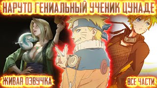 видео: НАРУТО ГЕНИАЛЬНЫЙ УЧЕНИК ЦУНАДЕ СЕНДЖУ !  Все части Живая озвучка Альтернативный сюжет Наруто картинка: НАРУТО ГЕНИАЛЬНЫЙ УЧЕНИК ЦУНАДЕ СЕНДЖУ !  Все части Живая озвучка Альтернативный сюжет Наруто