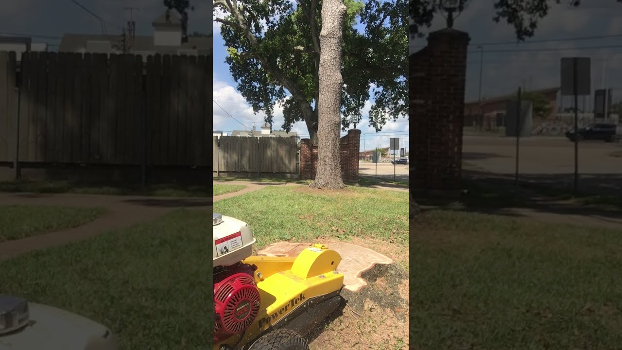 13 HP Honda stump grinder I powertek stump grinder I Against a Massive stump I stump grinding 3