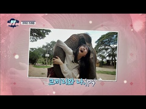 채경&수현, 코끼리 코에 번쩍! 아아악!! 우리가 들린 거야? (덜덜) 헬로아이비아이 6회