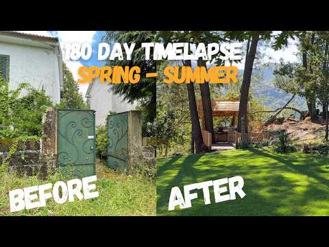 What we built on 3 acres of abandoned land in Portugal | Spring/Summer 2023