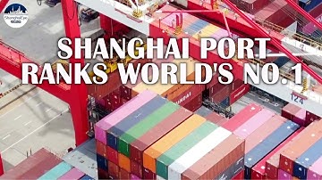 47.3 million TEUs! Shanghai