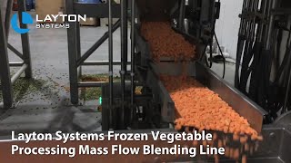 Layton Systems Frozen Vegetable Mass Flow Blending Line