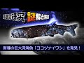 【話題の研究 謎解き解説】新種の巨大深海魚「ヨコヅナイワシ」を発見！