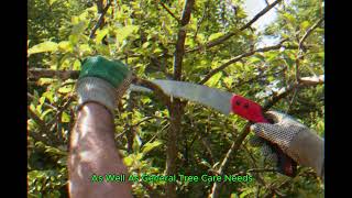 Top-Rated Tree Service in Menomonee Falls, WI – Trusted Local Experts