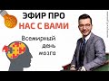 Эфир про нас с вами. Всемирный день мозга. А.В. Курпатов