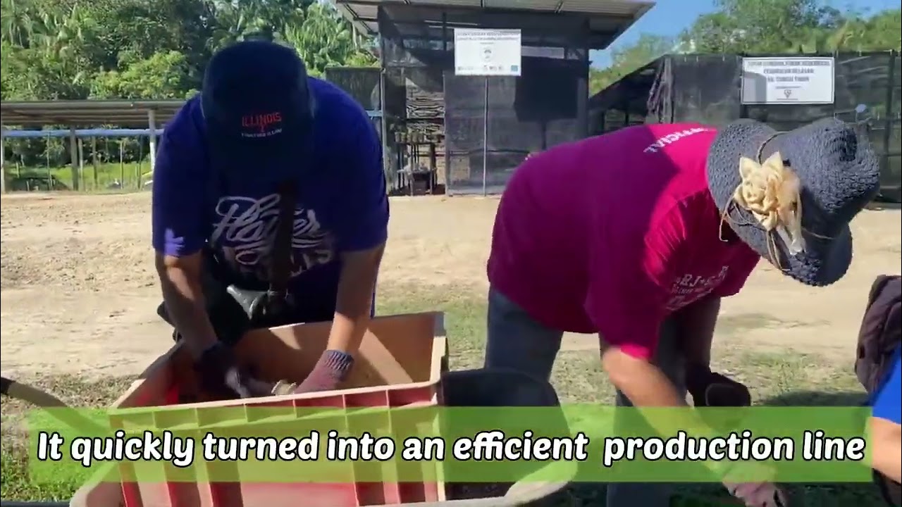 Sg Timun Kelip Kelip Volun-tourism