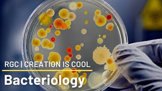 Bacteria, FRIEND or FOE??! | Bacteriology | Creation is Cool